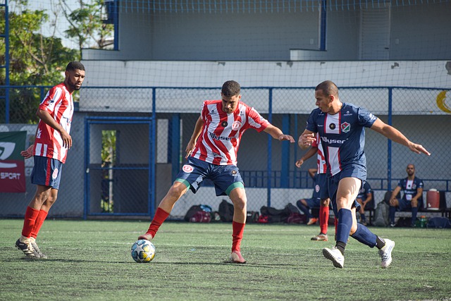 6的稳定成 6的稳定成