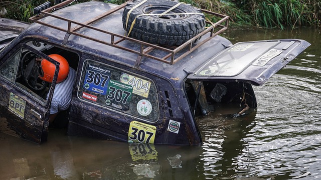 类似的决策 类似的决策