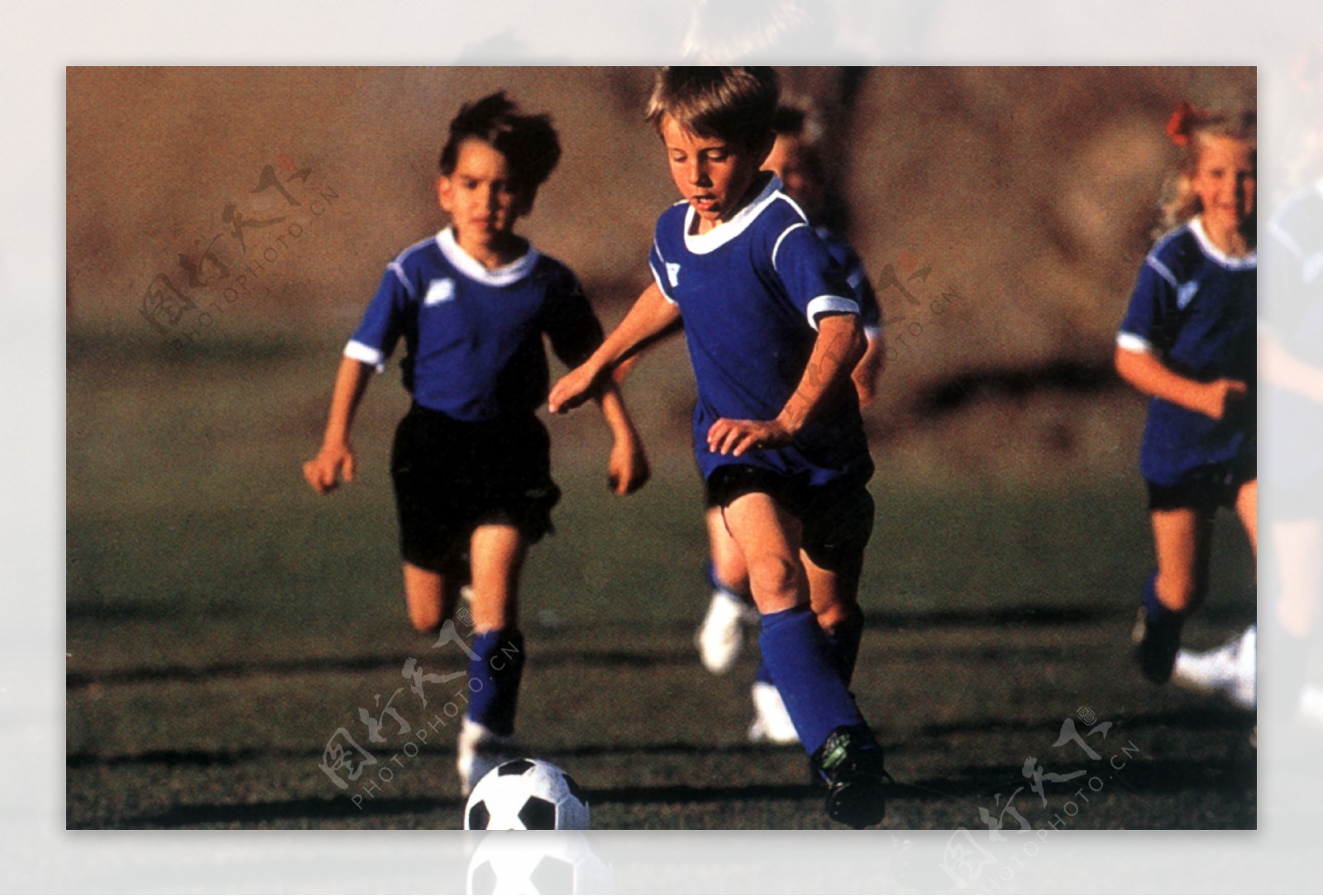 華斯基斯的 華斯基斯的