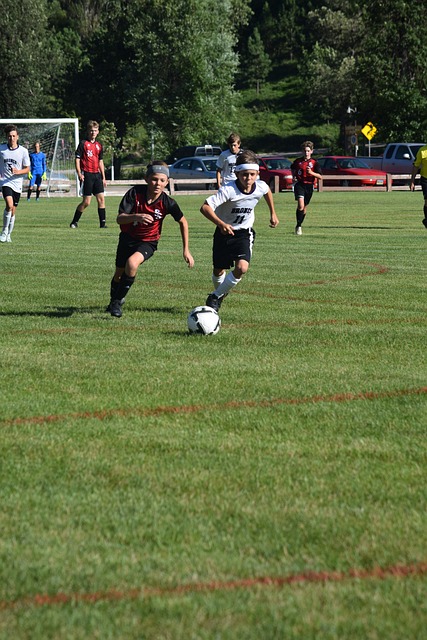 F1中国大 F1中国大