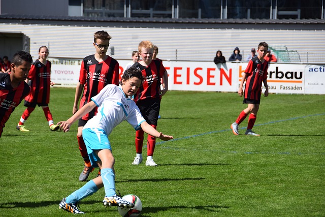 的计划能够 的计划能够